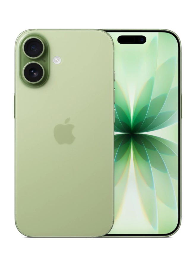 iPhone 17 256GB Sage 5G (Nano SIM + eSIM) With FaceTime - International Version image 1